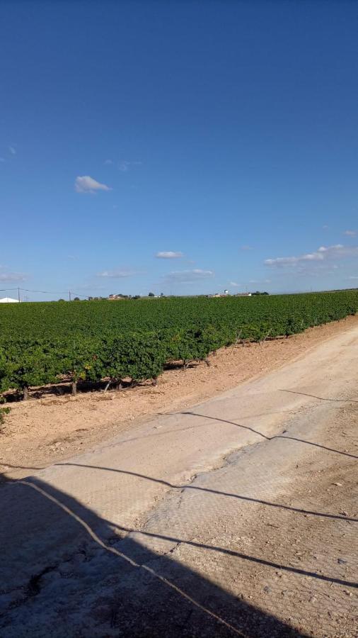Alojamiento Rural Casa Los Arenales コルドバ エクステリア 写真